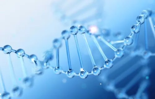 DNA Strand